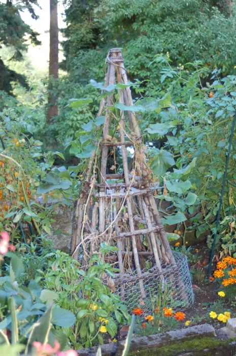 DIY Rustic Cucumber Trellis