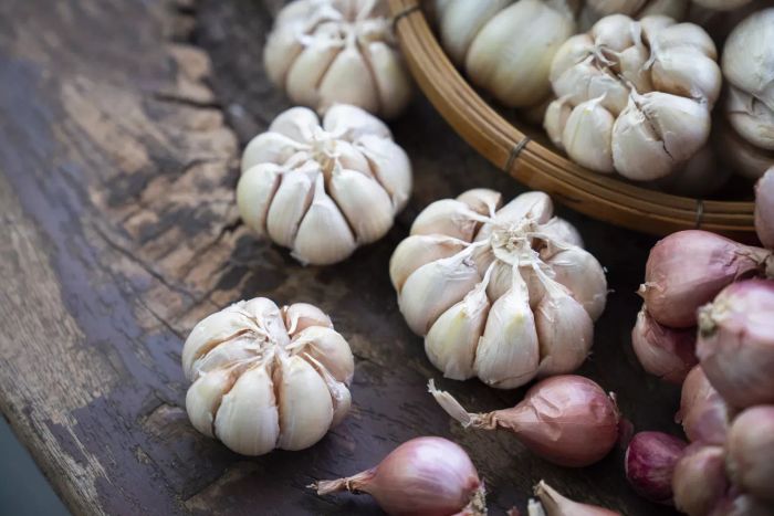 Several garlic bulbs gathered on a table