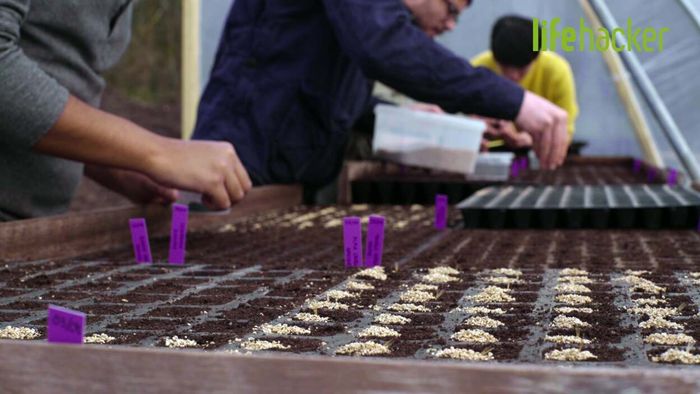 Exploring the Hidden Secrets of the World’s Most Sustainable Restaurant