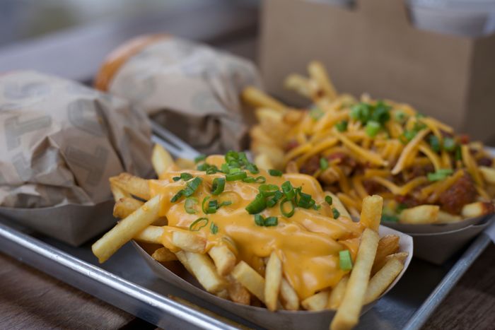 crispy potato fries served on a black ceramic plate