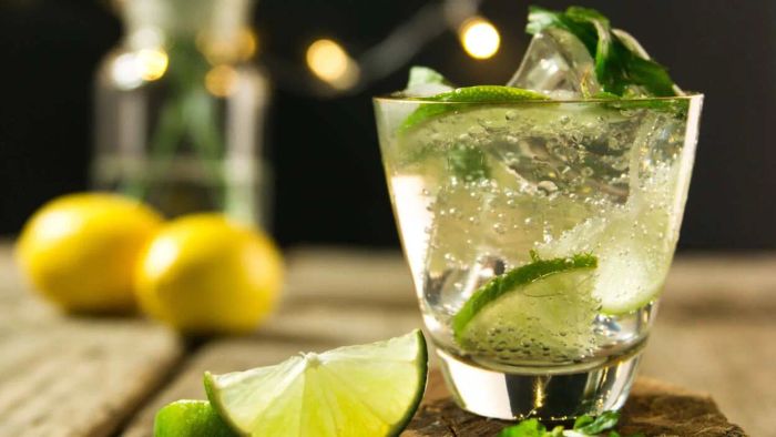 How to Select the Finest Tonic Water for Your Gin & Tonic