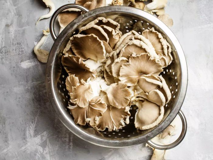 A colander filled with fresh raw oyster mushrooms
