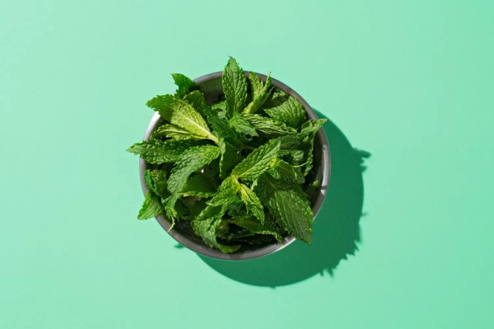 Fresh mint leaves in a bowl