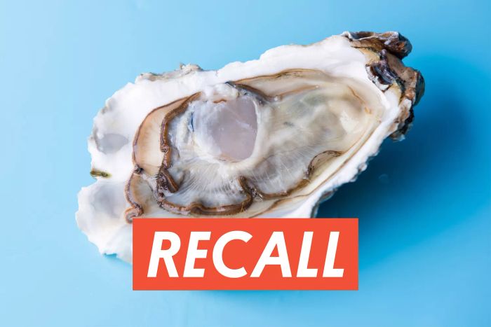oysters