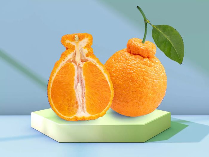 Sumo Oranges