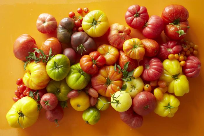 Tomatoes in a variety of colors and sizes