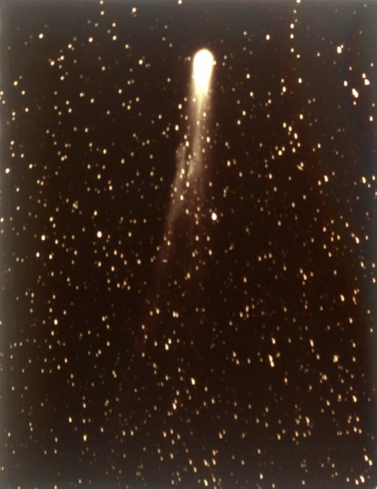 A bright comet with a luminous tail traverses a star-filled night sky.