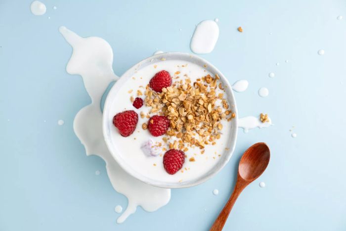 Greek yogurt served in a bowl with granola and fresh berries