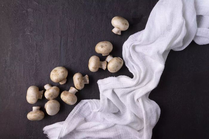 Using a paper towel to clean mushrooms