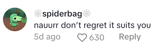 A social media comment reads, 