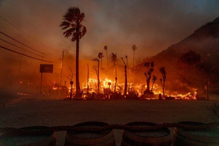 The wildfire tears through a landscape, with fierce flames devouring trees and buildings, creating a chaotic and destructive spectacle.