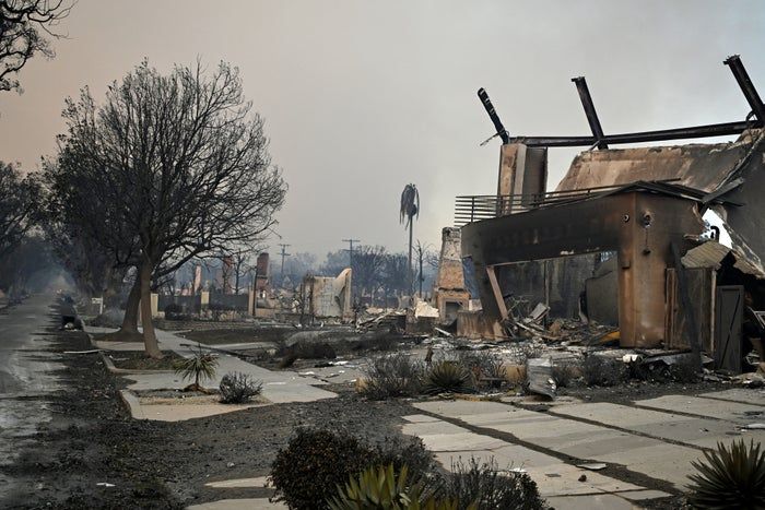 Charred buildings and scorched trees scattered along a deserted street after a wildfire