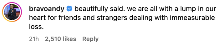 Comment from user "bravoandy": "Beautifully expressed. We all carry a lump in our hearts for friends and strangers going through unimaginable loss."