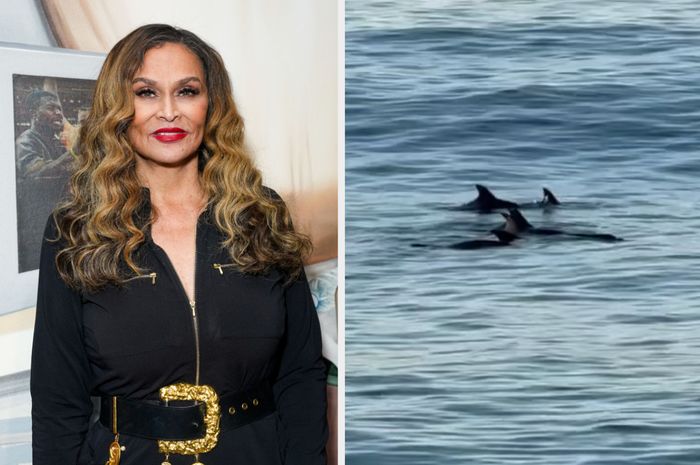 On the left, a person in an elegant black outfit accessorized with a gold belt. On the right, dolphins gracefully swimming in the ocean.