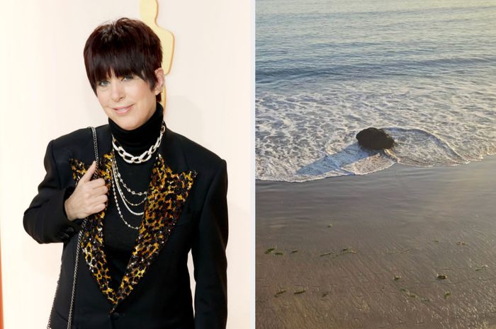 On the left: A person dressed in a black and leopard print blazer, accessorized with layered necklaces. On the right: A rock on the beach with waves crashing against it.