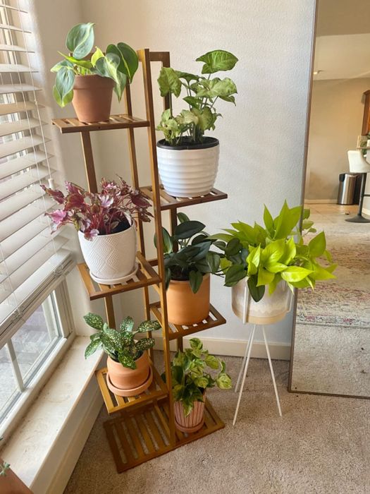 A brown tiered plant stand with six plants displayed on it.