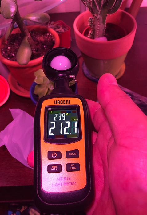 A reviewer is seen holding a light meter to check the light levels for their plants.
