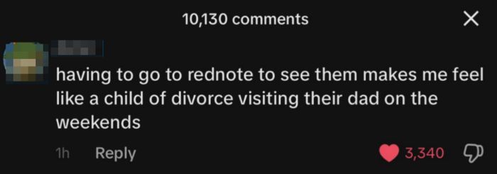 Comment expressing the feeling of being a child of divorce when attending 'rednote' to see someone.