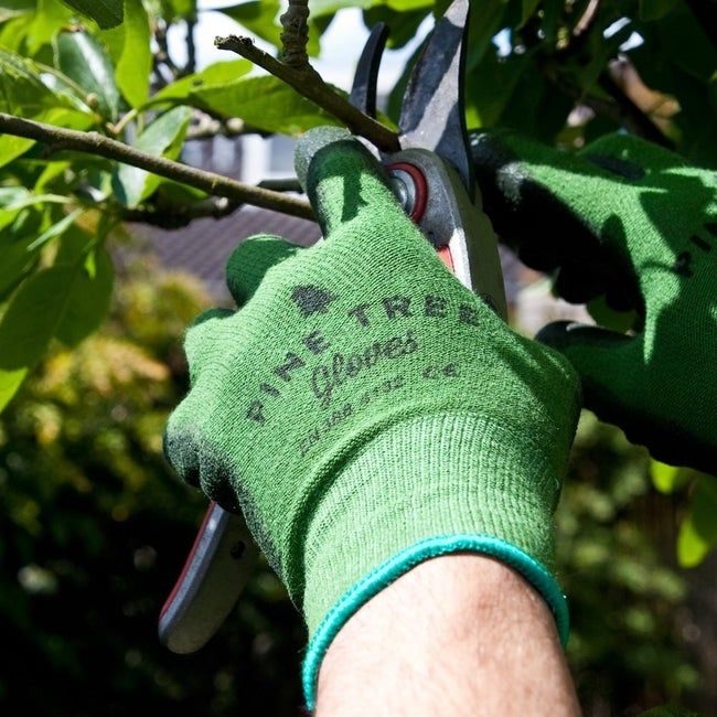 Hands wearing the gloves while using pruning shears.