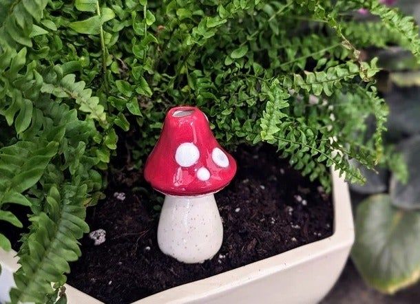 Red mushroom watering spike inserted into a plant pot