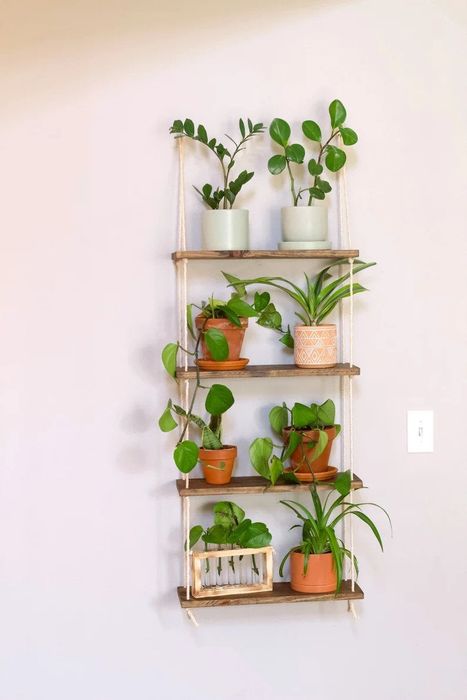 A four-tier plant shelf mounted on the wall.