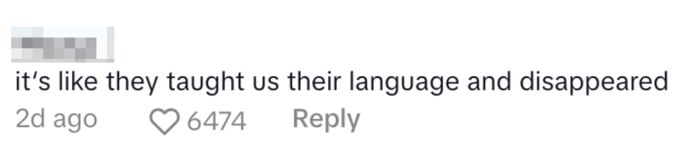 A comment says, "it's like they taught us their language and disappeared"