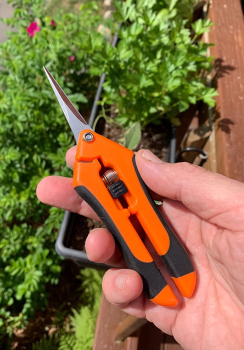 Reviewer holding a closed hand pruner