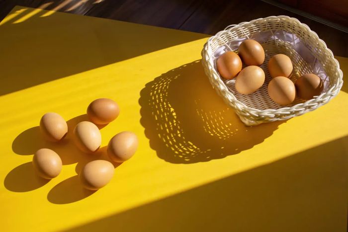 eggs left on the counter