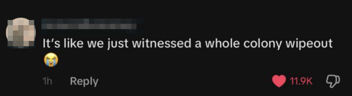 Comment reading, 