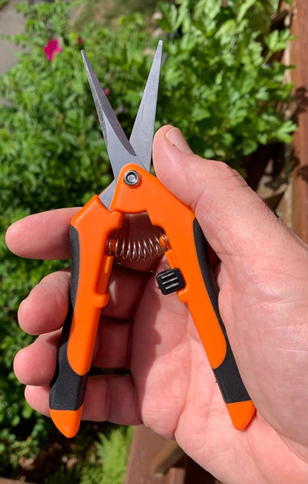 Reviewer holding an open hand pruner