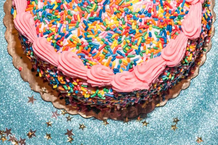 A birthday backdrop featuring a cake with sprinkles, confetti, and a festive party theme. No people present.