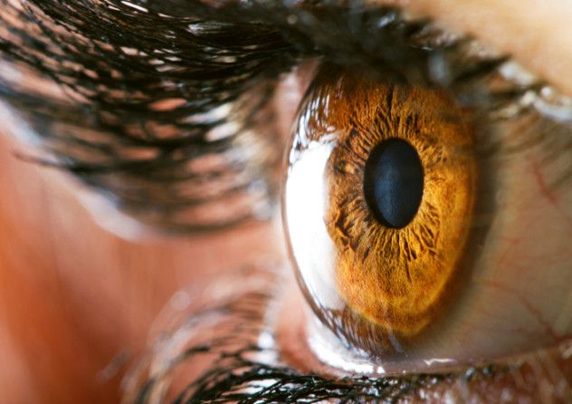 9 Eye