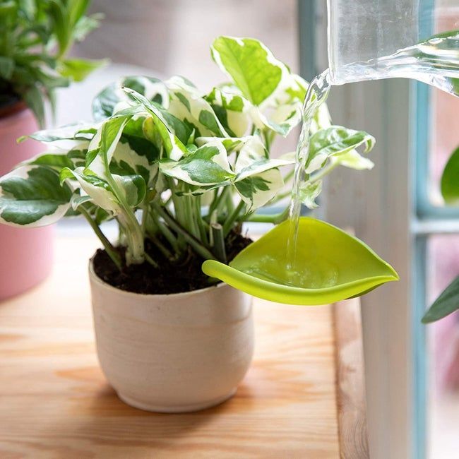 a leaf-shaped funnel that connects to the side of a pot