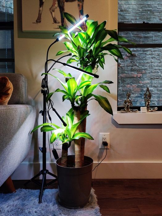 A reviewer's LED light setup is shown casting light on their houseplants.