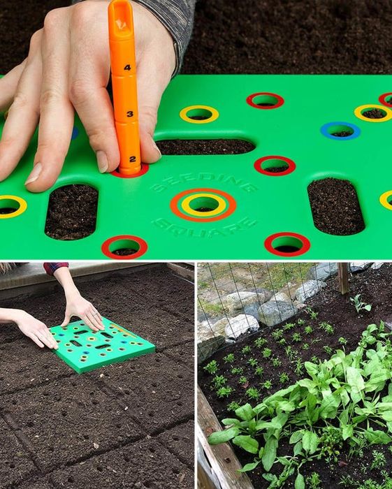 A board with holes to guide where you should plant your seeds.