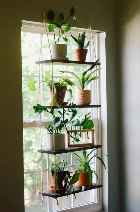 A four-tier plant shelf hanging in a window.