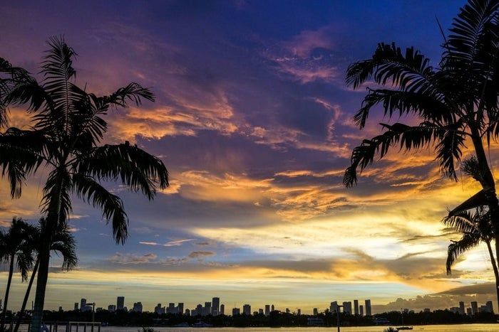 Silhouetted palm trees set against a breathtaking sunset, with a distant city skyline