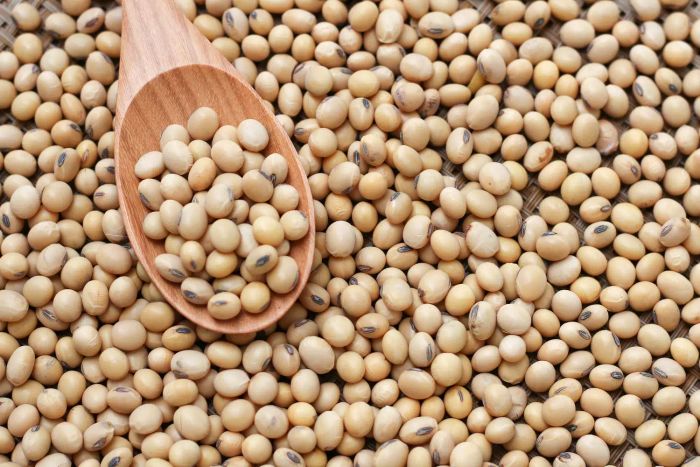 Soybeans.