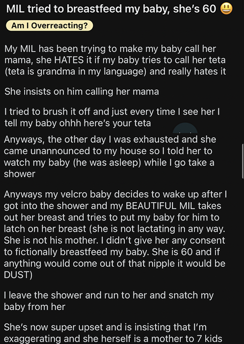 An image featuring a screenshot of a long text message about childcare and family dynamics.