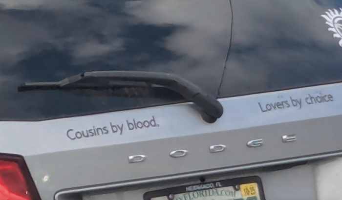 A car's rear window featuring a bumper sticker that reads, 