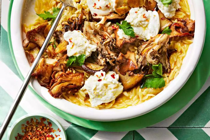 Mushroom and Burrata Orzotto is a creamy, delicious dish that highlights the earthy flavors of mushrooms paired with the richness of burrata cheese.