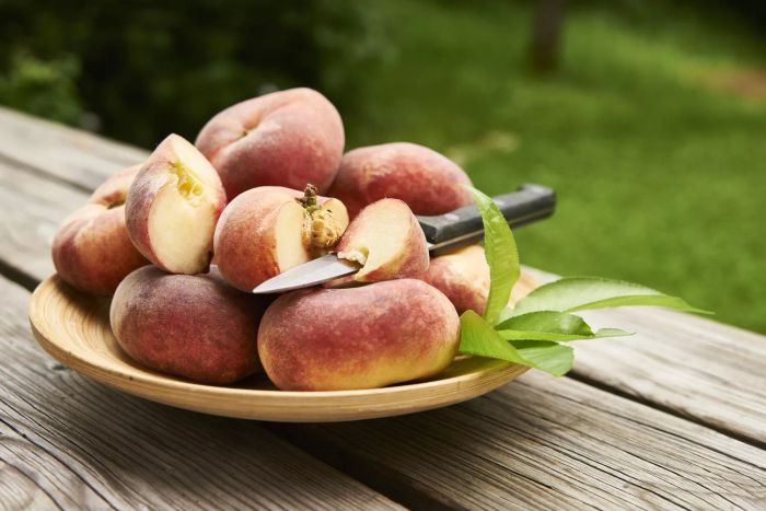 A bowl filled with ripe peaches