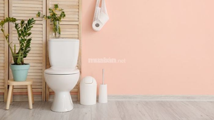 Hãy lựa chọn hướng phù hợp khi lắp bồn cầu để tối ưu hóa phong thủy trong nhà.