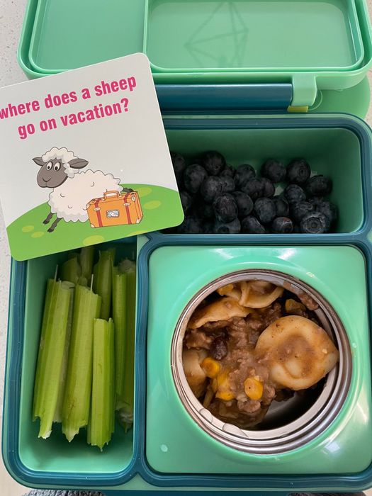 School lunchbox.