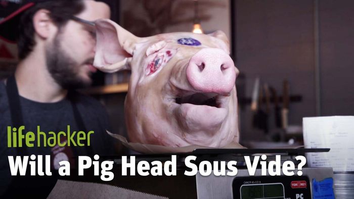 Will It Sous Vide?: The Head of a Pig