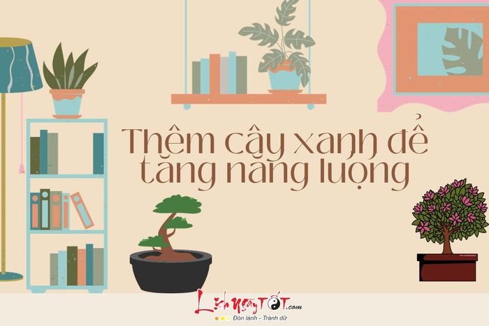 Thêm cây xanh vào không gian sống để nâng cao năng lượng của bạn.