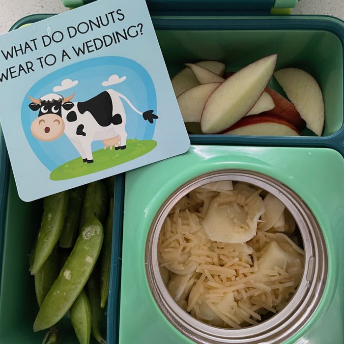 School lunch box.