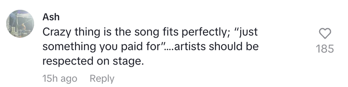 A comment discussing the importance of respecting artists on stage, highlighting how the song aligns perfectly with the concept of 