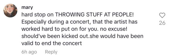 A comment expressing disapproval of throwing things at performers during concerts, stressing the hard work artists put in and supporting their right to stop shows if needed.