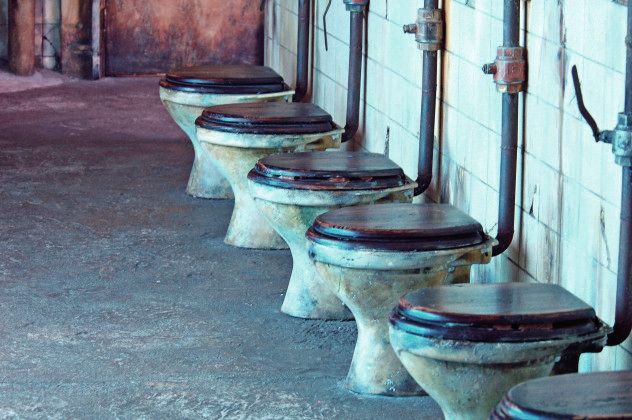 6 toilet